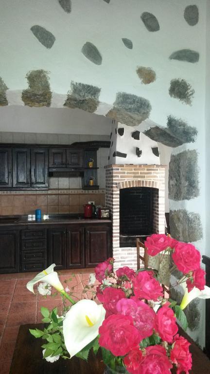 Vila Casa Canaria La Moncloa Icod De Los Vinos Pokoj fotografie