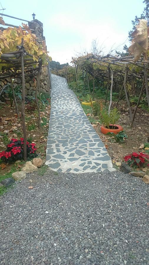 Vila Casa Canaria La Moncloa Icod De Los Vinos Exteriér fotografie